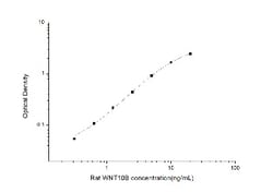 Novus Biologicals™ Rat Wnt-10b ELISA Kit (Colorimetric)